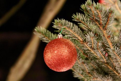 Trimming trees with ornaments and string lights is a holiday tradition for many families. Photo by Beth Brown.