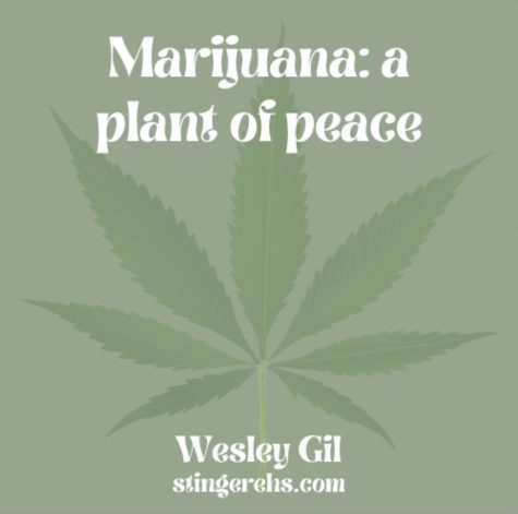 Marijuana: a plant of peace