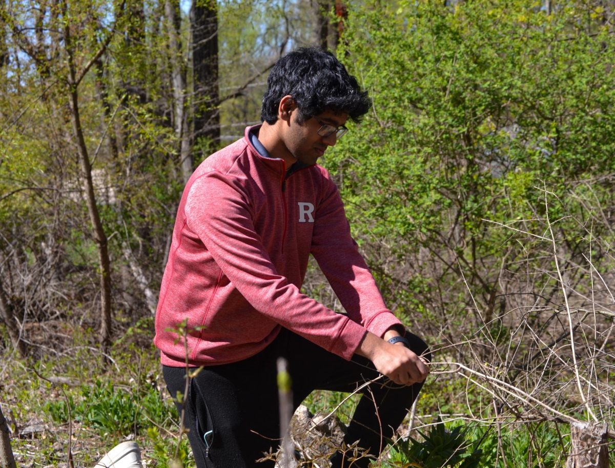 EHS senior Aidan Arrakal removes invasive species from the Wildlands Conservancy. 