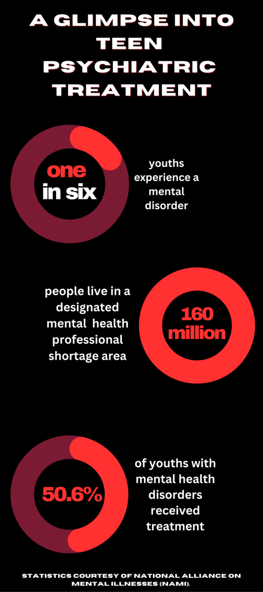 Families offer insight to teen mental health treatment experience